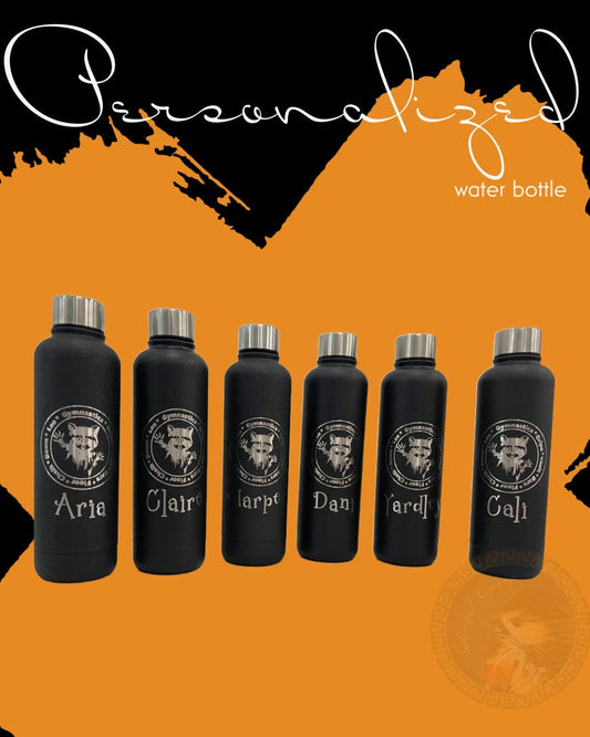 Favorite Character Insulated 17oz Water Bottle, Free name Personalization, Custom, Laser Engraved, Variety of characters and logos.